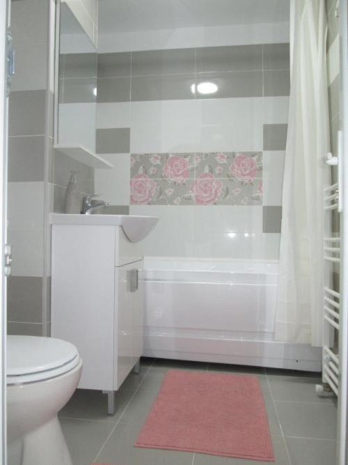 Apartament Sarra Targoviste Extérieur photo