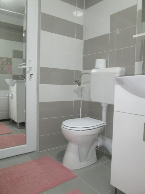 Apartament Sarra Targoviste Extérieur photo